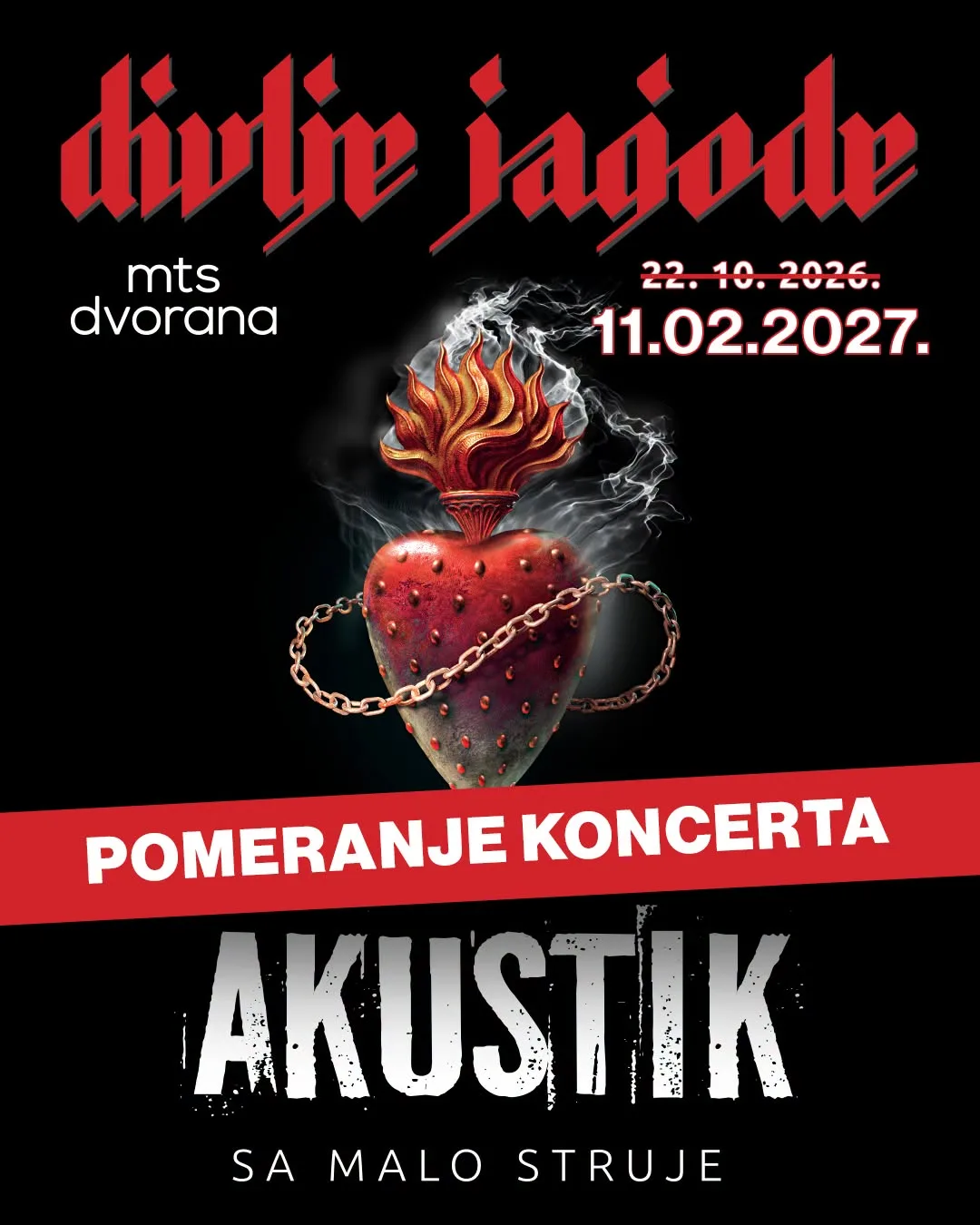 Divlje jagode plakat