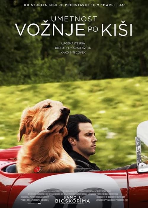 Umetnost vožnje po kiši