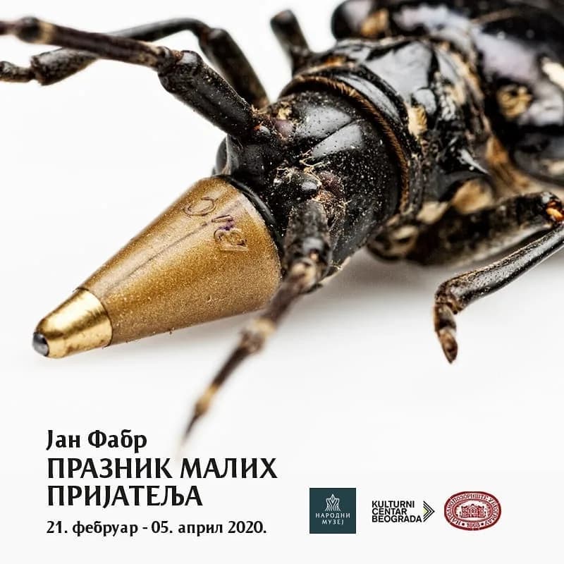 Jan Fabr: Praznik malih prijatelja