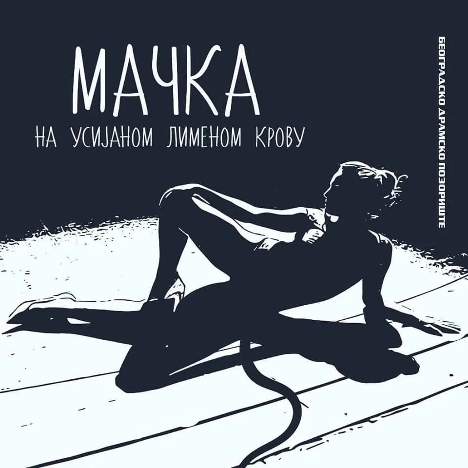 Mačka na usijanom limenom krovu