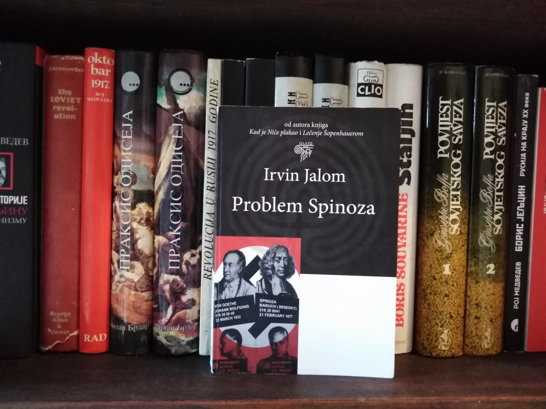 Književna boemija | Problem Spinoza