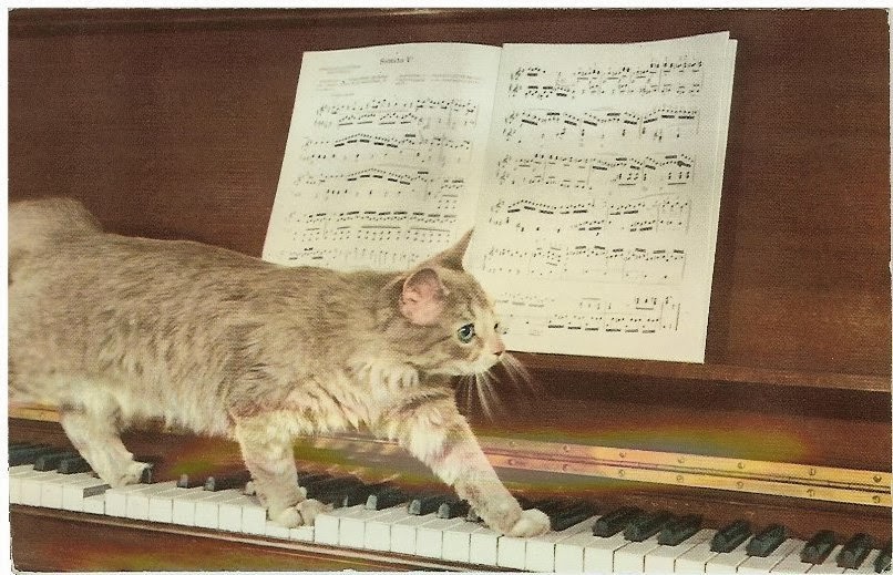 Može li mačka da bude muzička inspiracija?